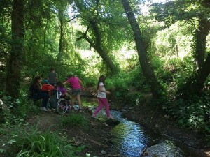Dsc_0937_web