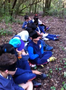 foto4f