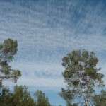 Cirrus