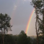 arc_sanmarti_1