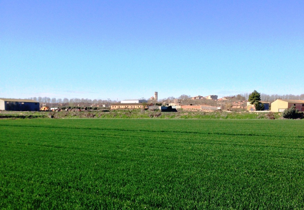 bloggif_573a37f1aa36e