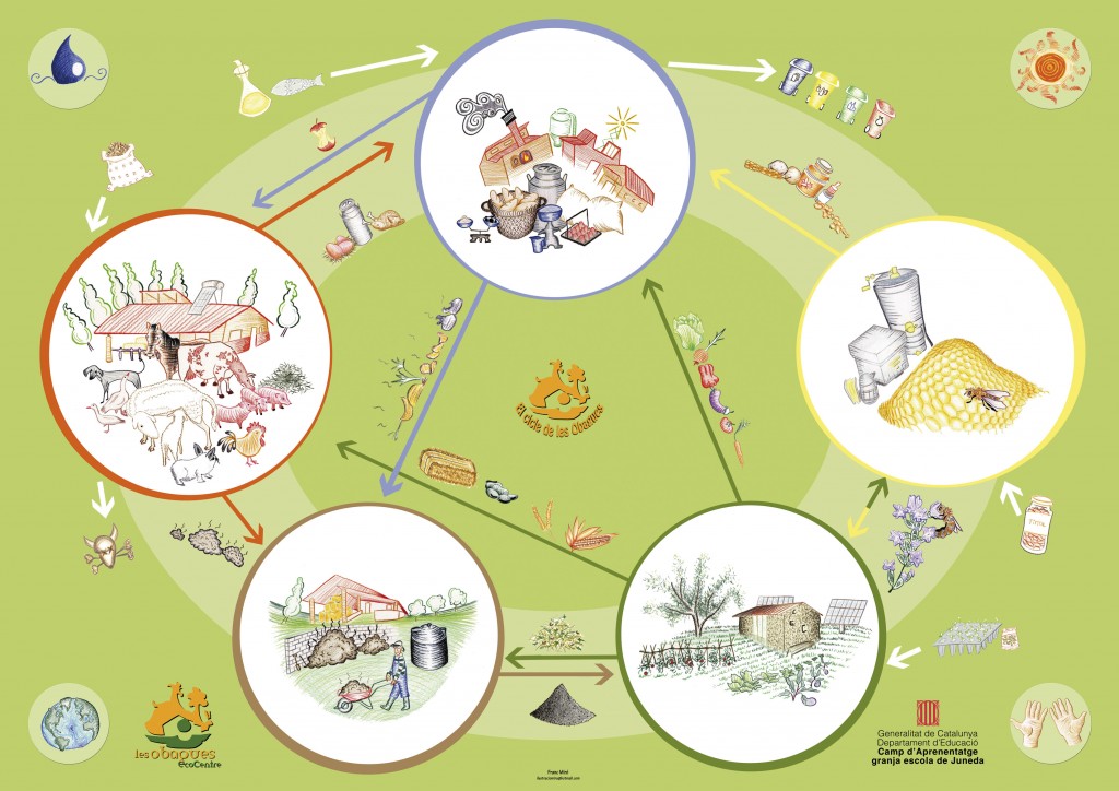 el cicle de la granja CdA Juneda-Obagues A3