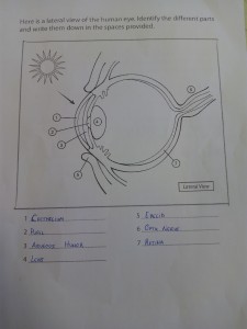 IMG_20150424_125009[1]