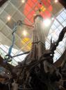 arbre