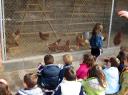 granja6