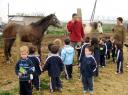 granja14