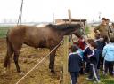 granja15