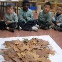Escoltem les instruccions