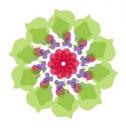 Flor