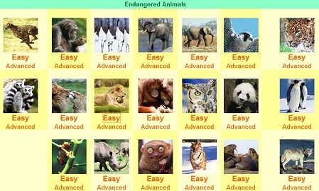 animal_puzzles