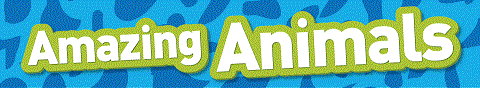 amazing-animals-banner