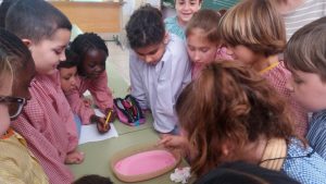 20170509_101433 (Small)