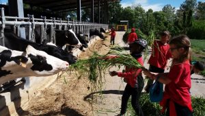 20170512_105421 (Small)