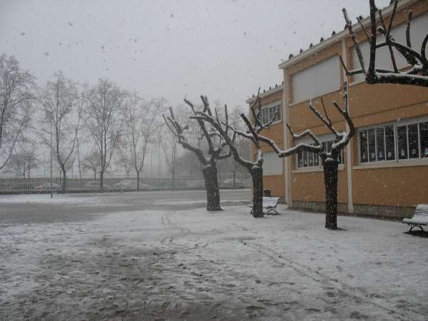 pati-nevat