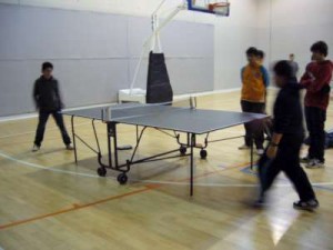 ping-pong-4002