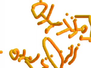 dibu