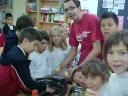 fem panallets4