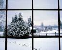 winter_depression1.jpg