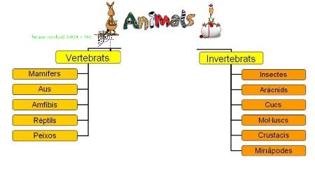 verteb