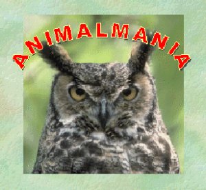 animalma
