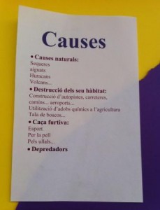 causes
