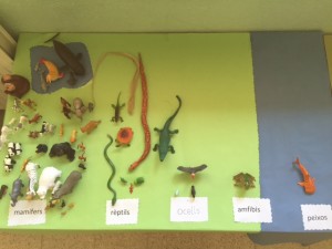 IMG_9090