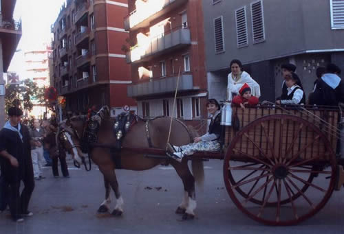 dani015.jpg