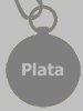 Medalla de Plata
