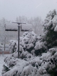 Nevada 3