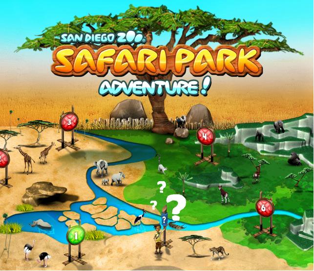 safari