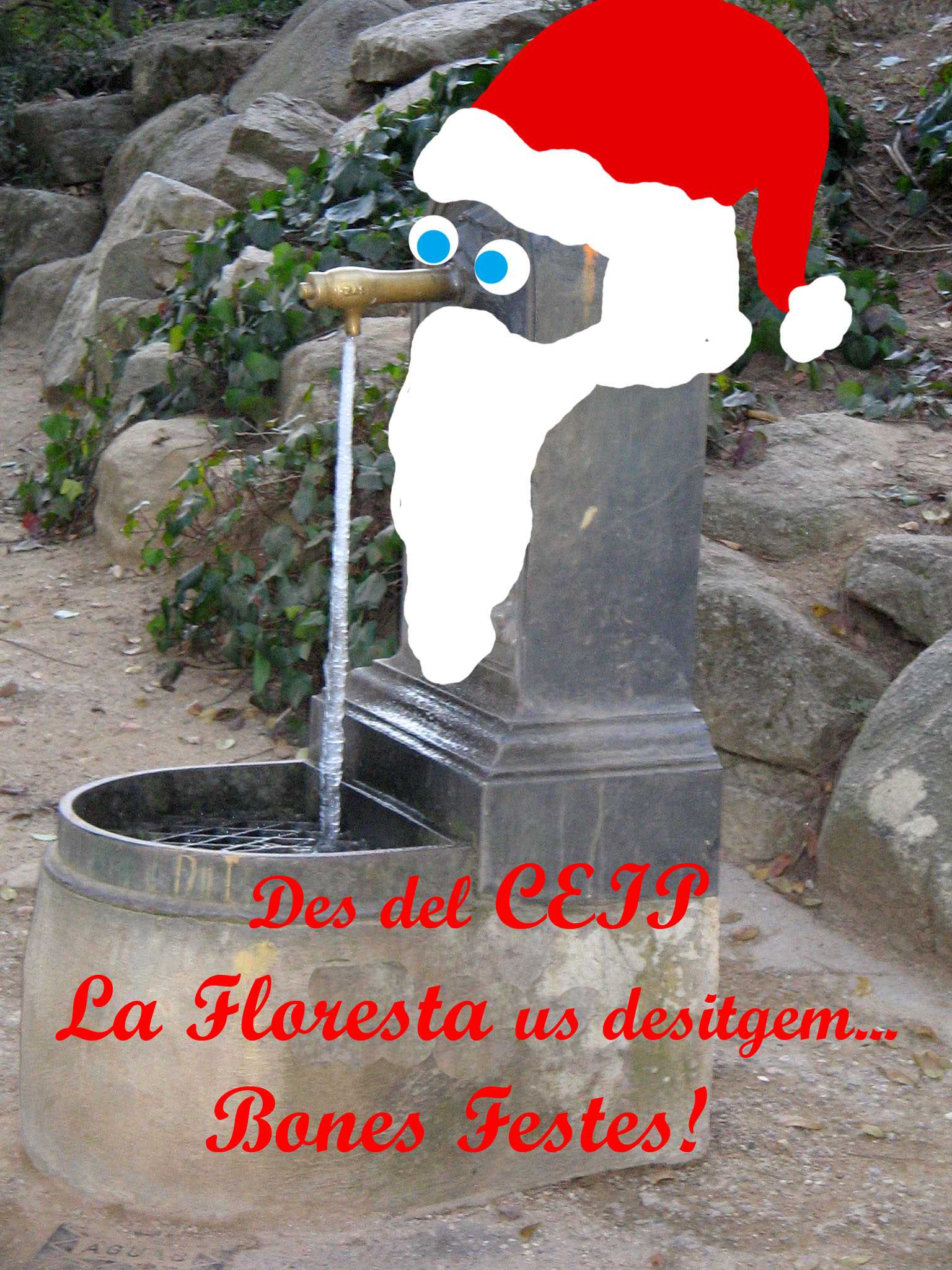 Bones Festes