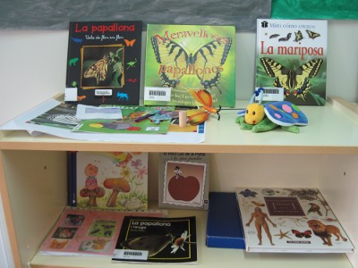 copia-de-img_01381