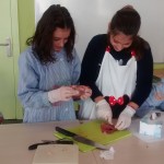 IMG_20151016_121612762