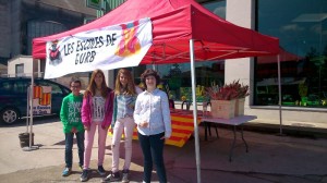 sant jordi parades(5)