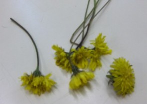 flors3.jpg