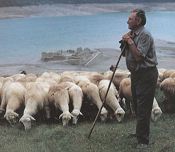 pastor