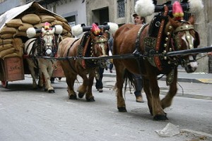 traginer1