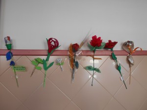 roses 001