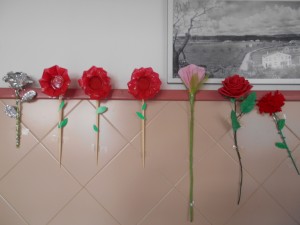 roses 002