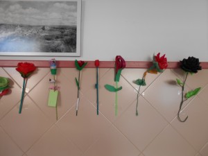 roses 003
