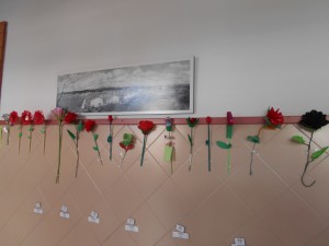 roses 004