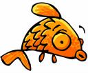 poisson_clr.jpg
