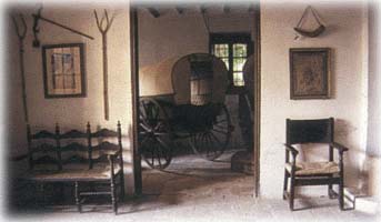 museu-camp