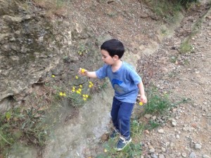 Img_0963-1