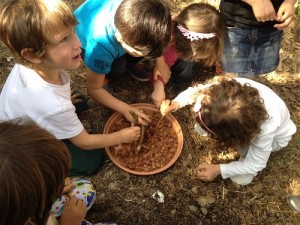 foto3