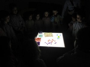 IMG_0794 (2160 x 1620)llum3