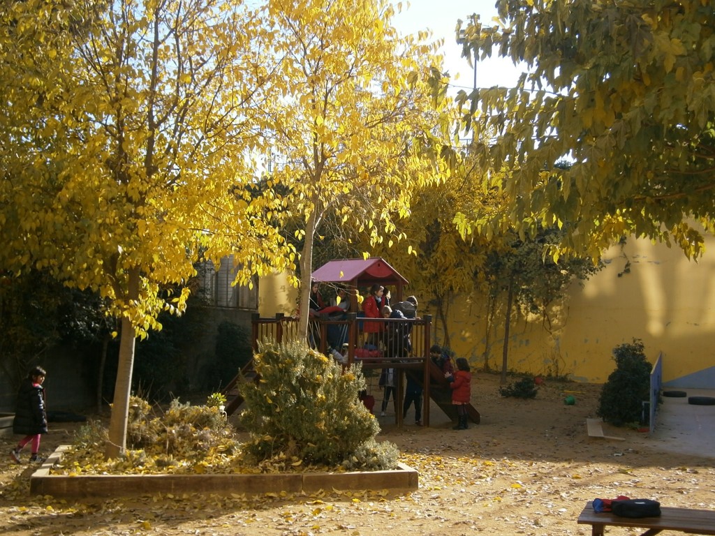 P1010051