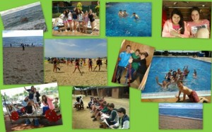 collagecolonies