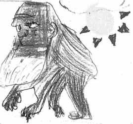 darwin11.jpg