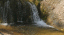 fons3.gif